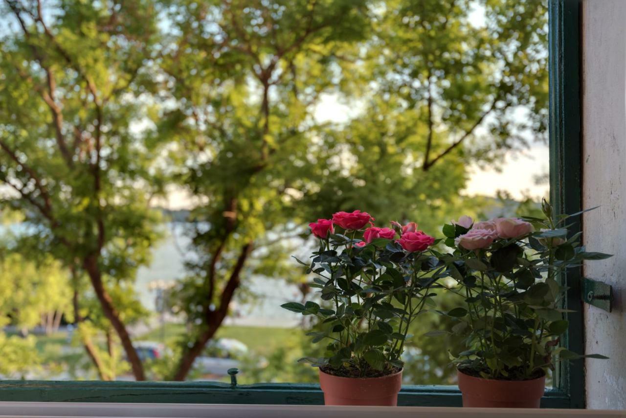 Apartment Oliveto Sibenik Luaran gambar